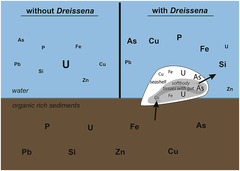 New paper from Jörg (Postdoc)