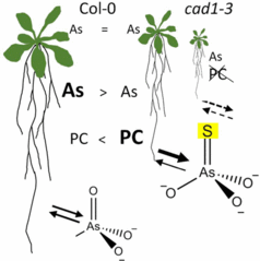 New paper from Britta