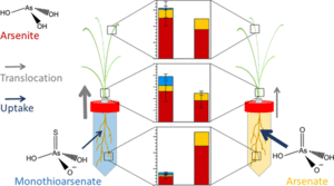 New paper from Carolin (PhD thesis, paper No.1)