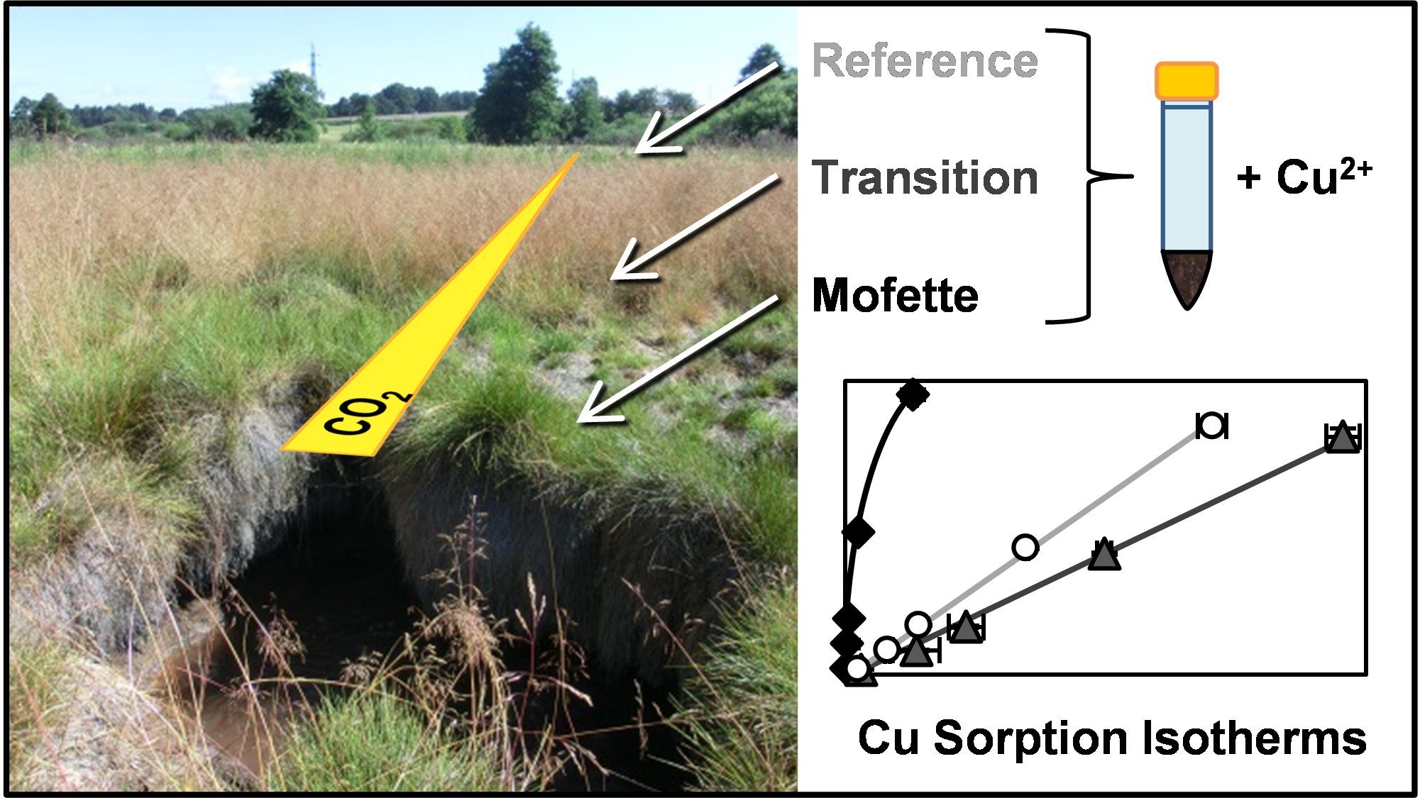 New paper from Judith (PhD thesis, paper No.2)